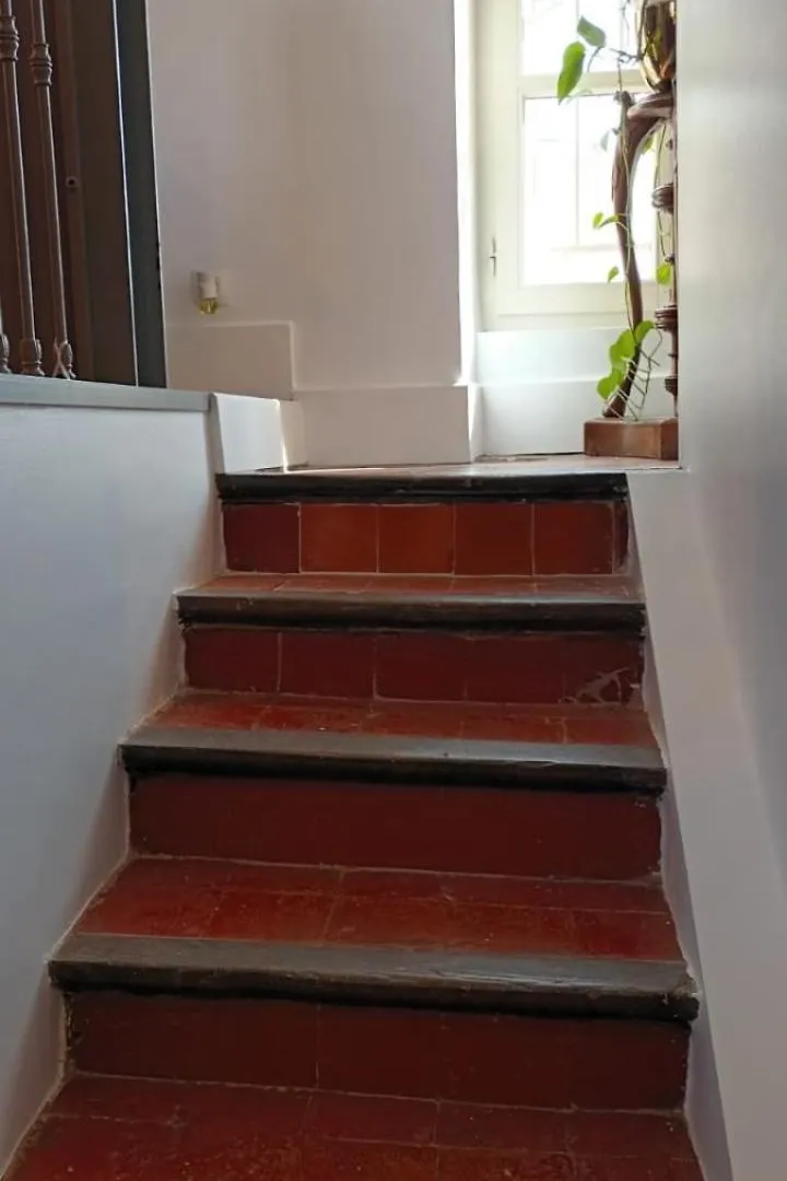 Charmant Appartement Avignon Et Parking Apartment